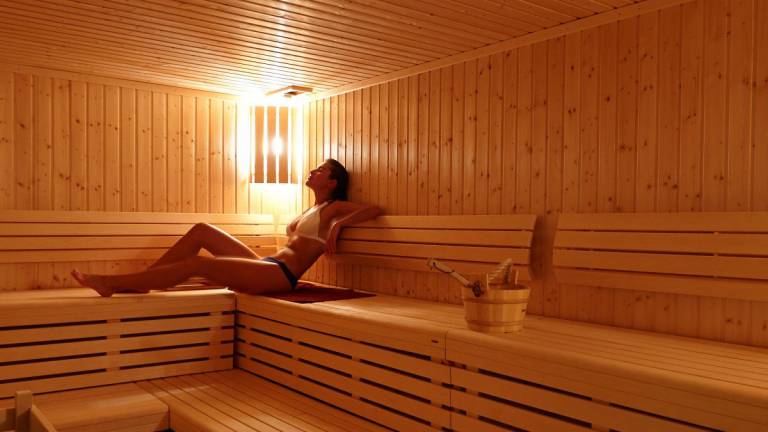 Los orígenes de la sauna de vapor – Blog del Hidromasaje